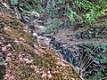 Waterway crossing VII between Pioda and Alpe Gada (direction forward)