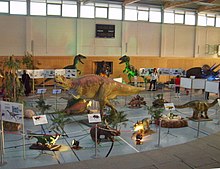 Ausstellung in der Elbe-Elster-Halle