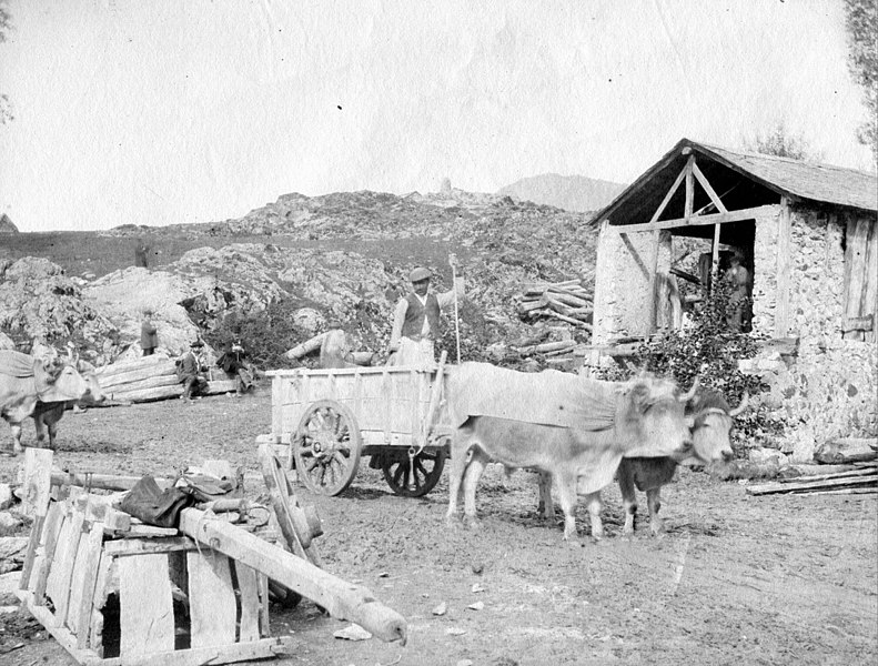 File:Aux plâtrières, Tarascon-sur-Ariège, (congrès géologique), septembre 1882 (8189481091).jpg