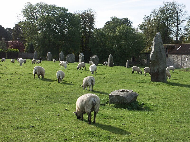 File:Avebury-schafe-02.JPG