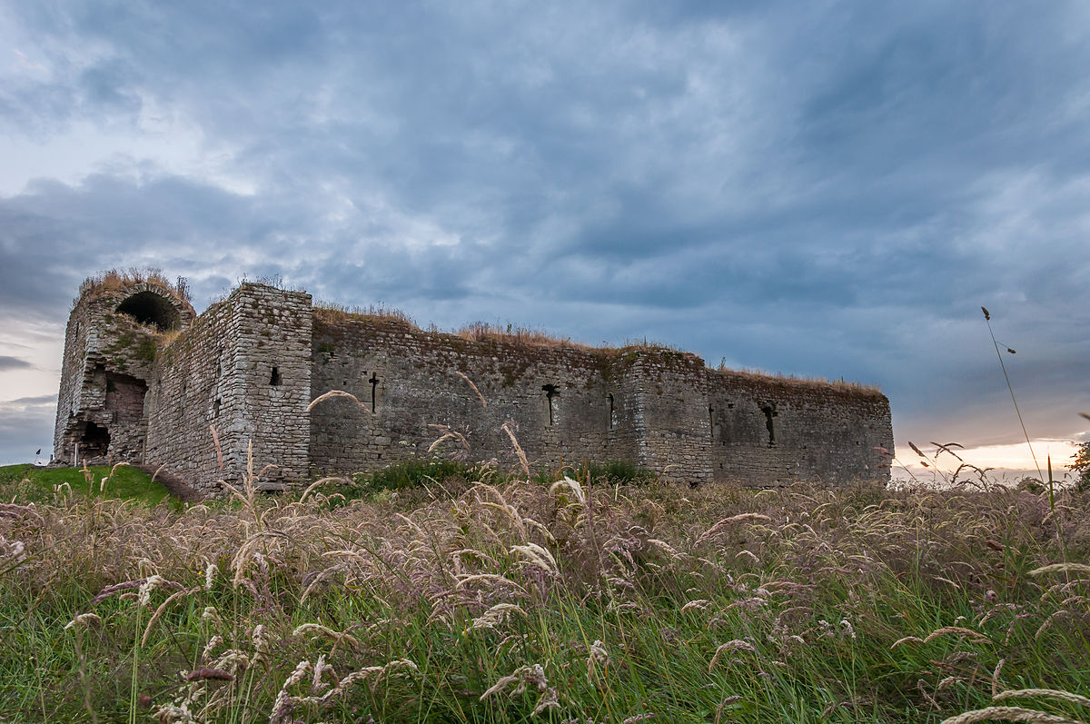 Ballymoon Castle near Muine Bheag, County Carlow Photograph: Poleary91 Licensing: CC-BY-SA-4.0