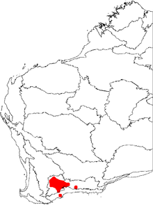 Distribution of B. xylothemelia, shown on a map of Western Australia's biogeographic regions. Banksia xylothemelia map.png