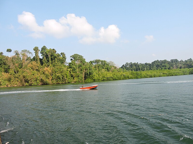 File:Baratang Island near Middle Strait entry point, Andaman Islands, India.JPG