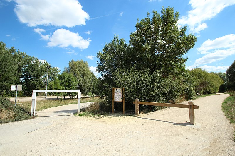 File:Bassin de Saulx à Saulx-les-Chartreux le 21 août 2015 - 06.jpg