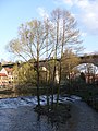 Bautzen, Friedensbrücke