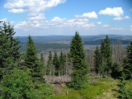 Bayerischer wald1