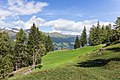 * Nomination Mountain trip from Tschiertschen (1350 meters) via the butterfly route to Furgglis. Settlement at Furgglis. --Famberhorst 16:55, 13 October 2017 (UTC) * Promotion Good quality. --Berthold Werner 17:24, 13 October 2017 (UTC)