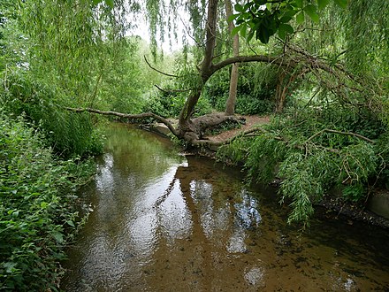 The Beverly Brook as it passes between Barnes Green and Barnes Common