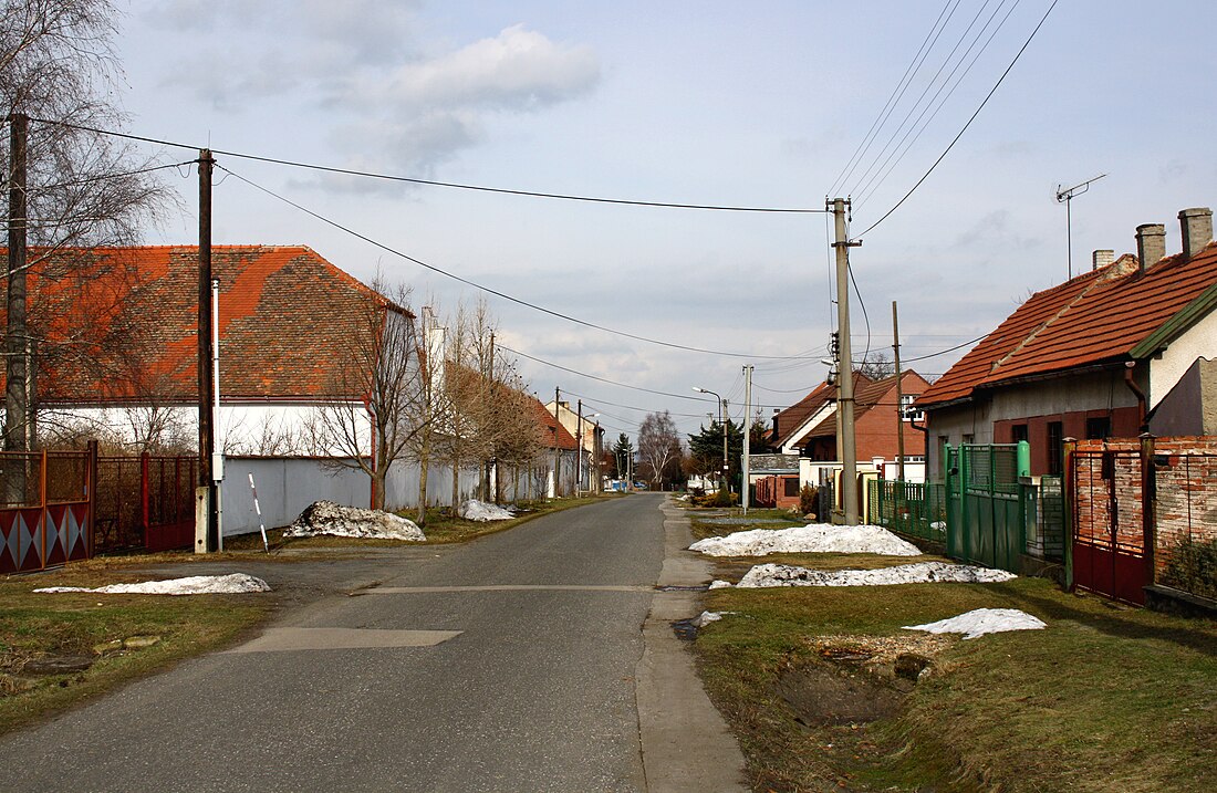 Bořanovice