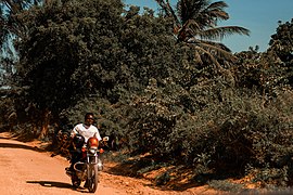 Bodaboda in bagamoyo.jpg