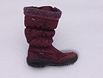 Boot on snow.jpg