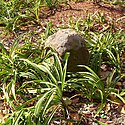 Boundary Stone (District de Columbia) NW 8.jpg