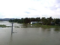 A planície do rio Bramaputra no distrito de Goalpara