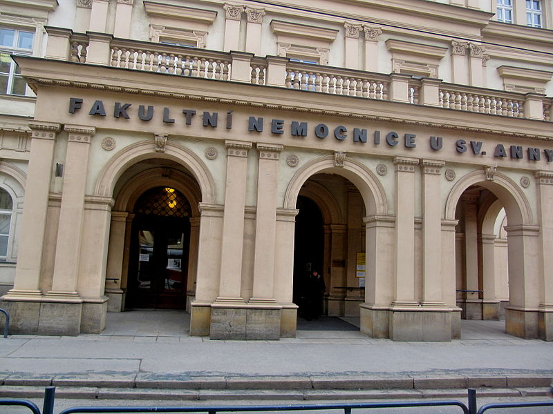 File:Brno, Pekařská, nemocnice u svaté Anny, portikus.jpg