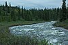 Brushkana Creek - Denali Highway 2012-06-11 (1) .jpg