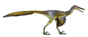 Buitreraptor UDL.png