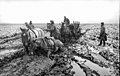 Německý povoz zapadl do bláta, březen-duben 1942