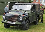 Bundesver MB Wolf.jpg