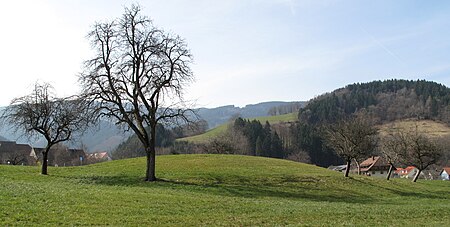 Burg Oberried 01