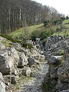 Alpinarium w ogrodzie botanicznym