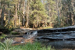 La Quebrada de Santa Bárbara bevaringsområde ligger i Pueblo Nuevo kommun