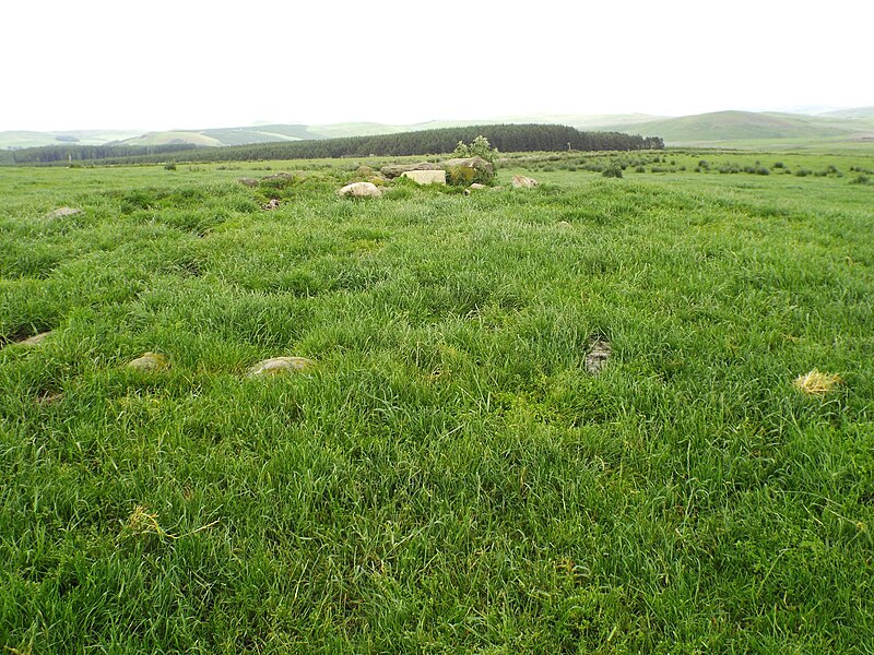 File:Cairn on Lawsuit Law in Scottish Borders - geograph.org.uk - 4546495.jpg