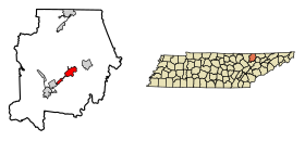 Campbell County Tennessee Incorporated and Unincorporated areas La Follette Highlighted 4740180.svg