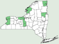 Carex garberi NY-dist-map.png