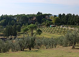 Château d'Uzzano.jpg