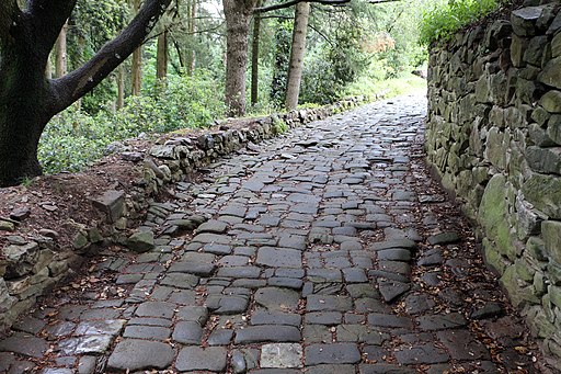 Castello di brolio, antica strada lastricata 02