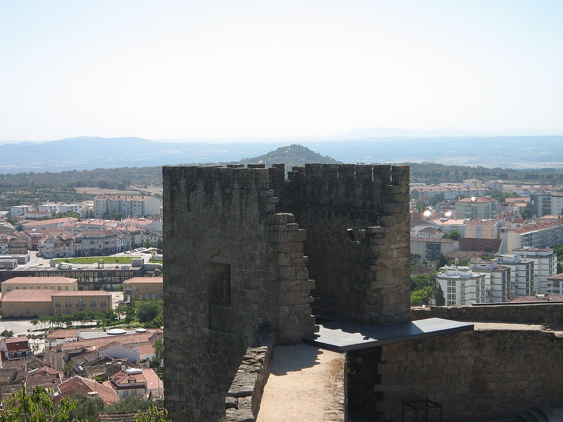 Castelo Branco (stad)