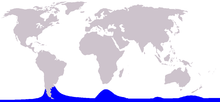 Cetacea range map Hourglass Dolphin.PNG