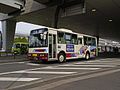 一般路線バス（Chiba Bus Lines カラーパターンタイプ）