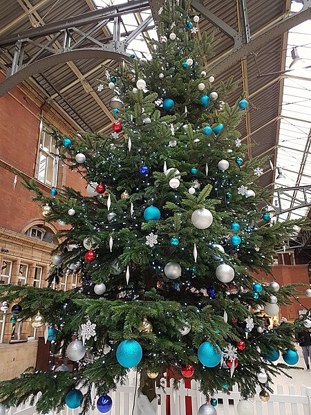 File:Christmas Tree (38698189152).jpg