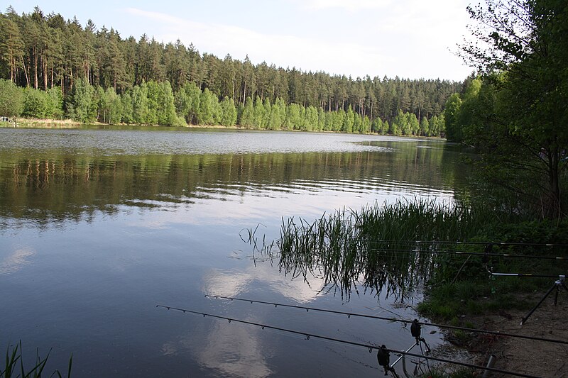 File:Chvojnice lake at Chvojnice river near Hluboké, Třebíč District.jpg