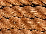 Closeup ropes.jpg