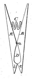 David Smith clothespin, two prongs connected by a fulcrum, plus a spring Clothespin (US Patent 10,163).png