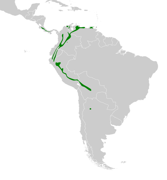 Ficheiro:Colibri cyanotus map.svg