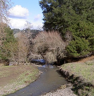 Crane Creek (California) stream in Sonoma County, California