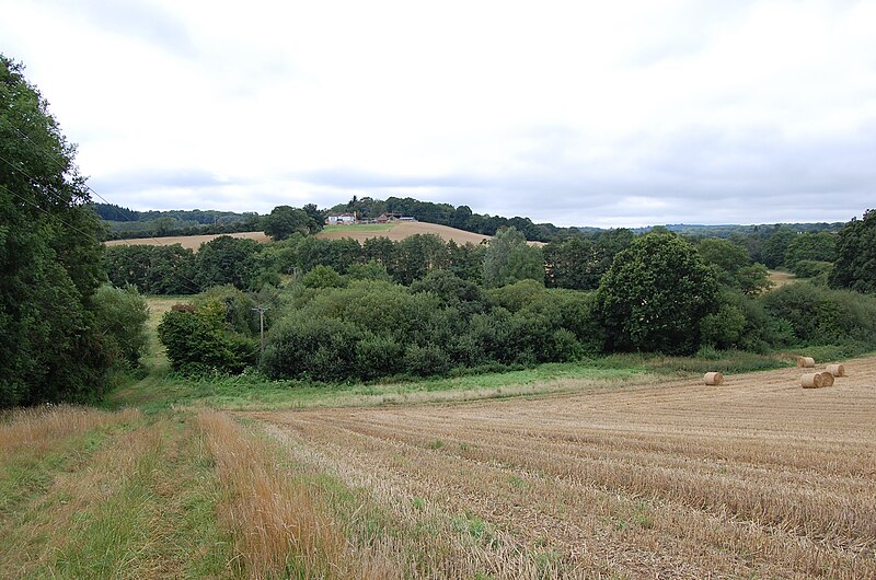 File:Crop Fields near Squibs Farm - geograph.org.uk - 2548969.jpg