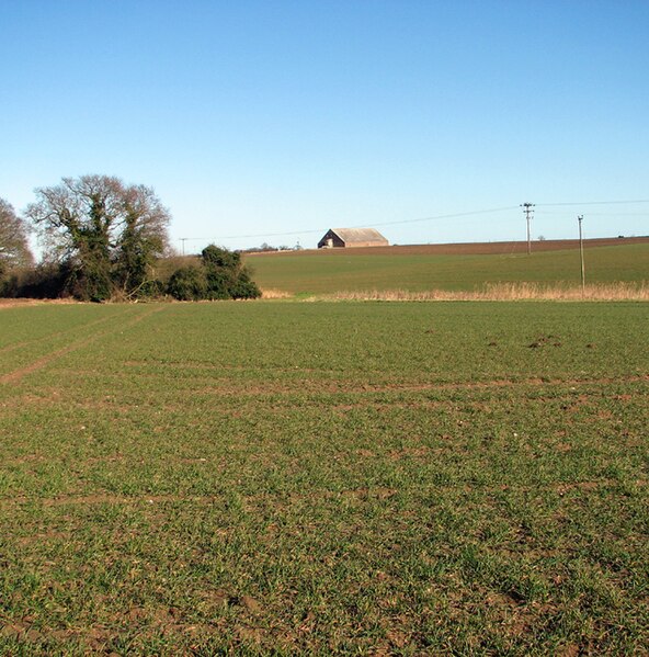 File:Crop fields north of Moulton Road - geograph.org.uk - 4351777.jpg