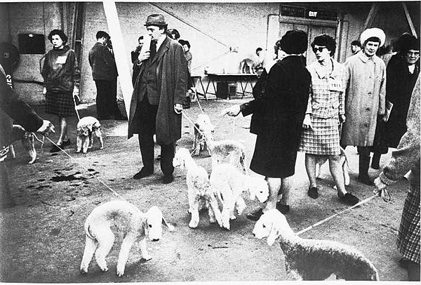 "Crufts Dog Show 1968" by Tony Ray-Jones