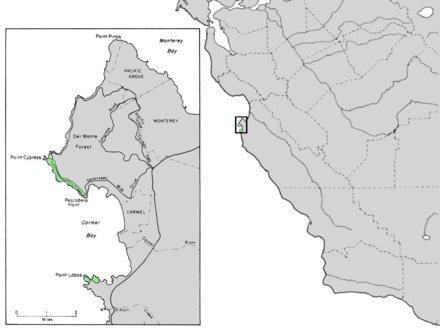 Cupressus macrocarpa range map 4.png