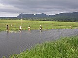 Frauen aus Malahara und Mehara fischen Welse und Tilapias. Im Fluss leben aber auch bis zu 4 m lange Leistenkrokodile