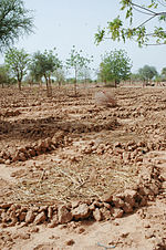 Thumbnail for Rainwater harvesting in the Sahel