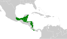 Dendrocincla anabatina map.svg