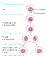 Thumbnail for version as of 10:01, 12 January 2016