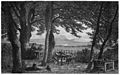 Die Gartenlaube (1885) b 165.jpg Blick auf den Hafen von Kiel (S)