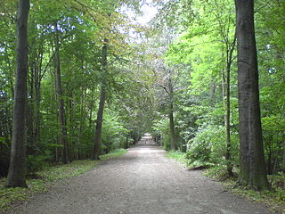 <span class="mw-page-title-main">Dieleghem Wood</span> Forest in Jette, Belgium
