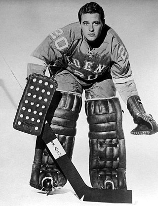 <span class="mw-page-title-main">Don Caley</span> Canadian ice hockey player